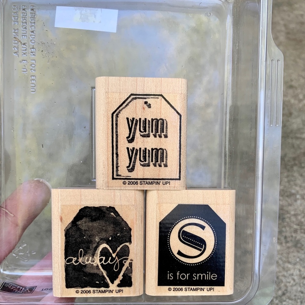 2 for $15 - Stampin’ Up! Too Terrific Tags